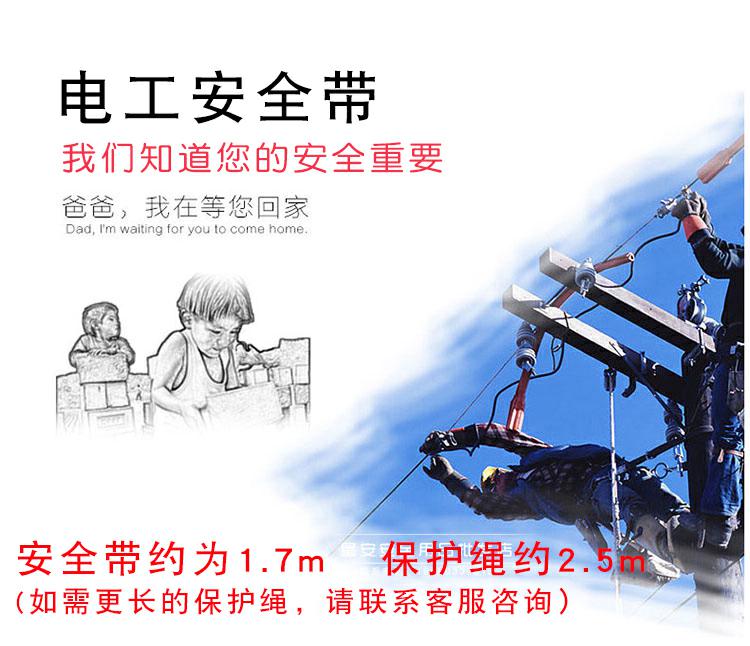 O1CN01TmNzQ81P8bteIrs3b_!!2201195451796.jpg